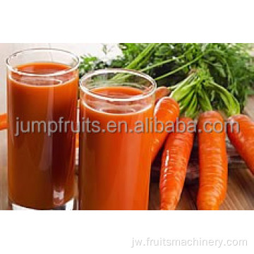 Mesin Extraction Jeruk Carrot otomatis